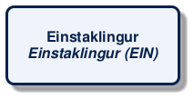 @startuml
!include /build/docs/_plantuml_styles/concept_name.iuml
class "Einstaklingur\n<i>Einstaklingur (EIN)</i>"
@enduml